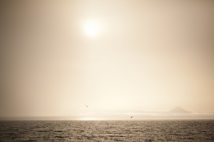 Whale_009