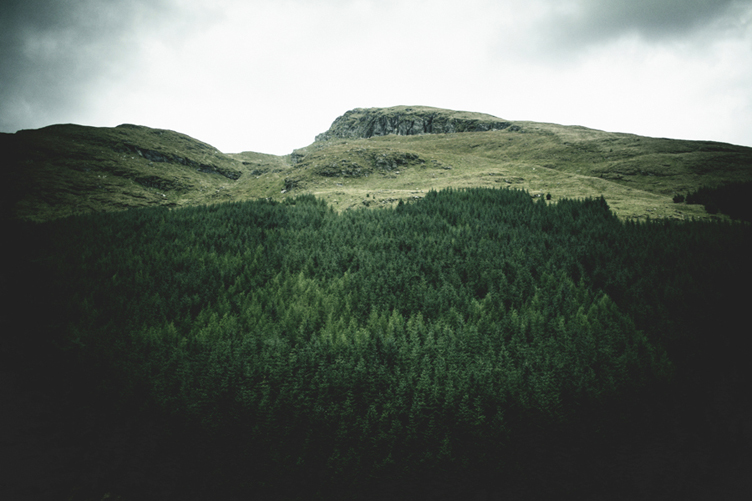 Edinburgh_017