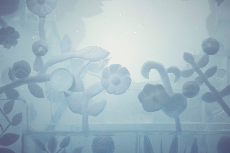 ICEHOTEL_Flower03