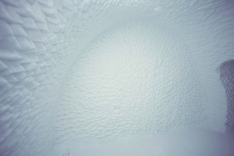 ICEHOTEL_Nest02