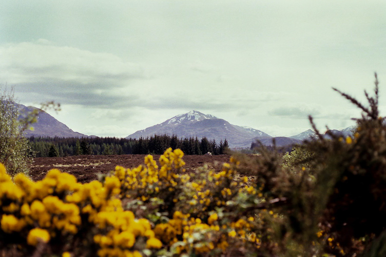 20150603_Scotland033