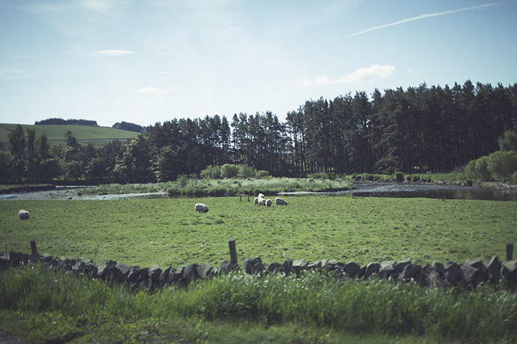 20150603_Scotland038b